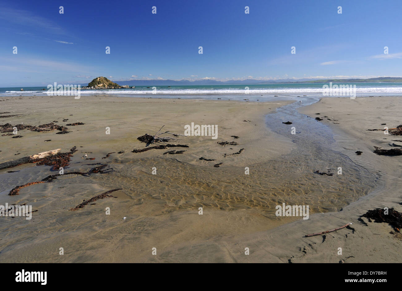 Spiaggia deserta, Catlins Coast, Isola del Sud, Nuova Zelanda Foto Stock