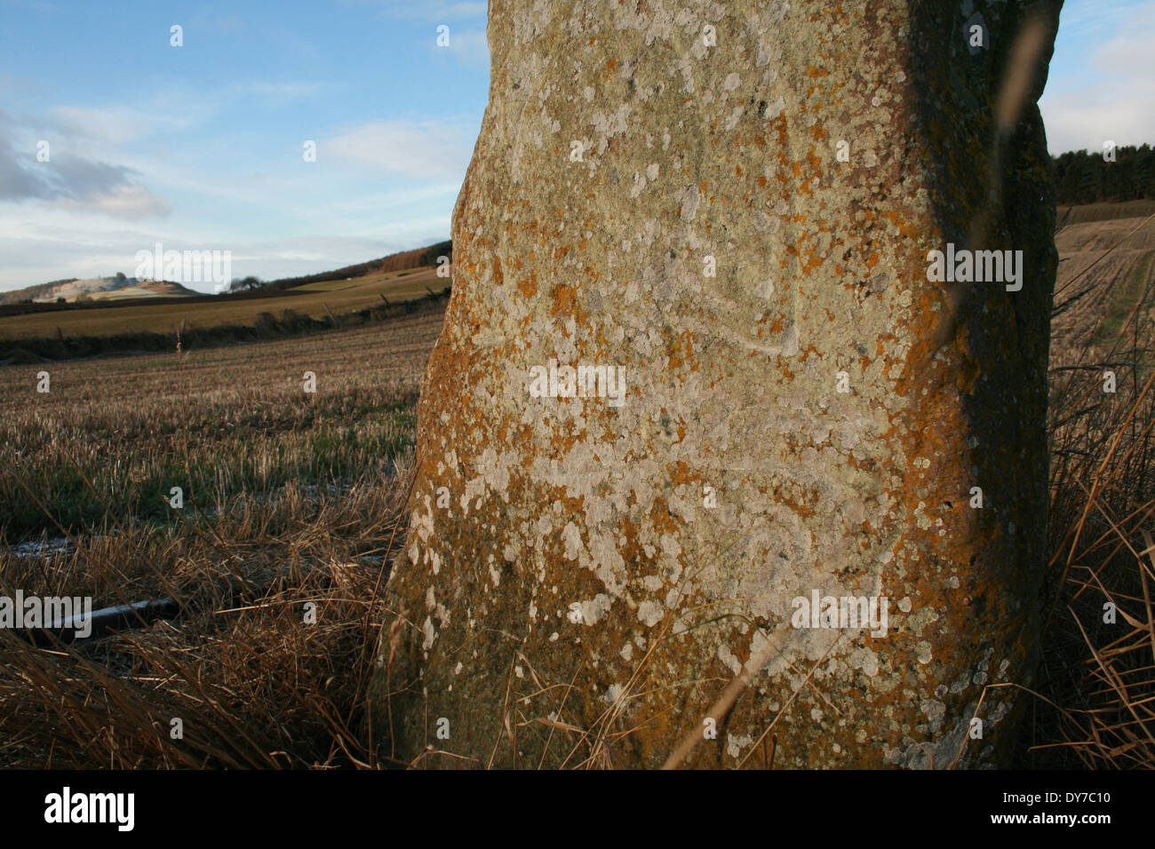 Pictish Bruceton Stone Foto Stock