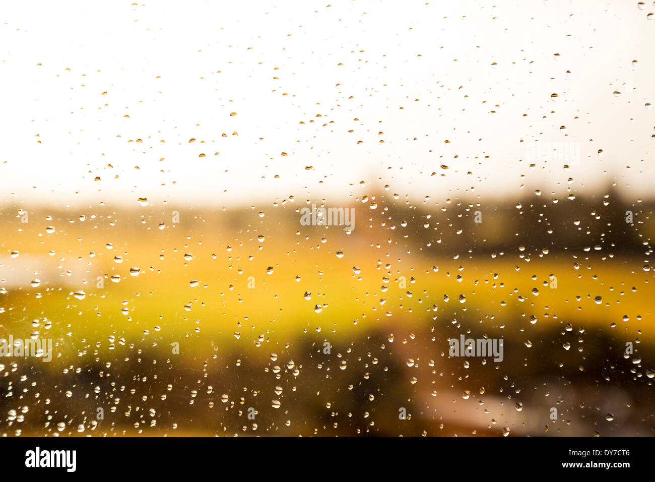Tempo piovoso a un campo da golf ha lasciato delle gocce di pioggia sulla superficie del vetro con la natura al di fuori in questo riassunto immagine di tessitura. Foto Stock