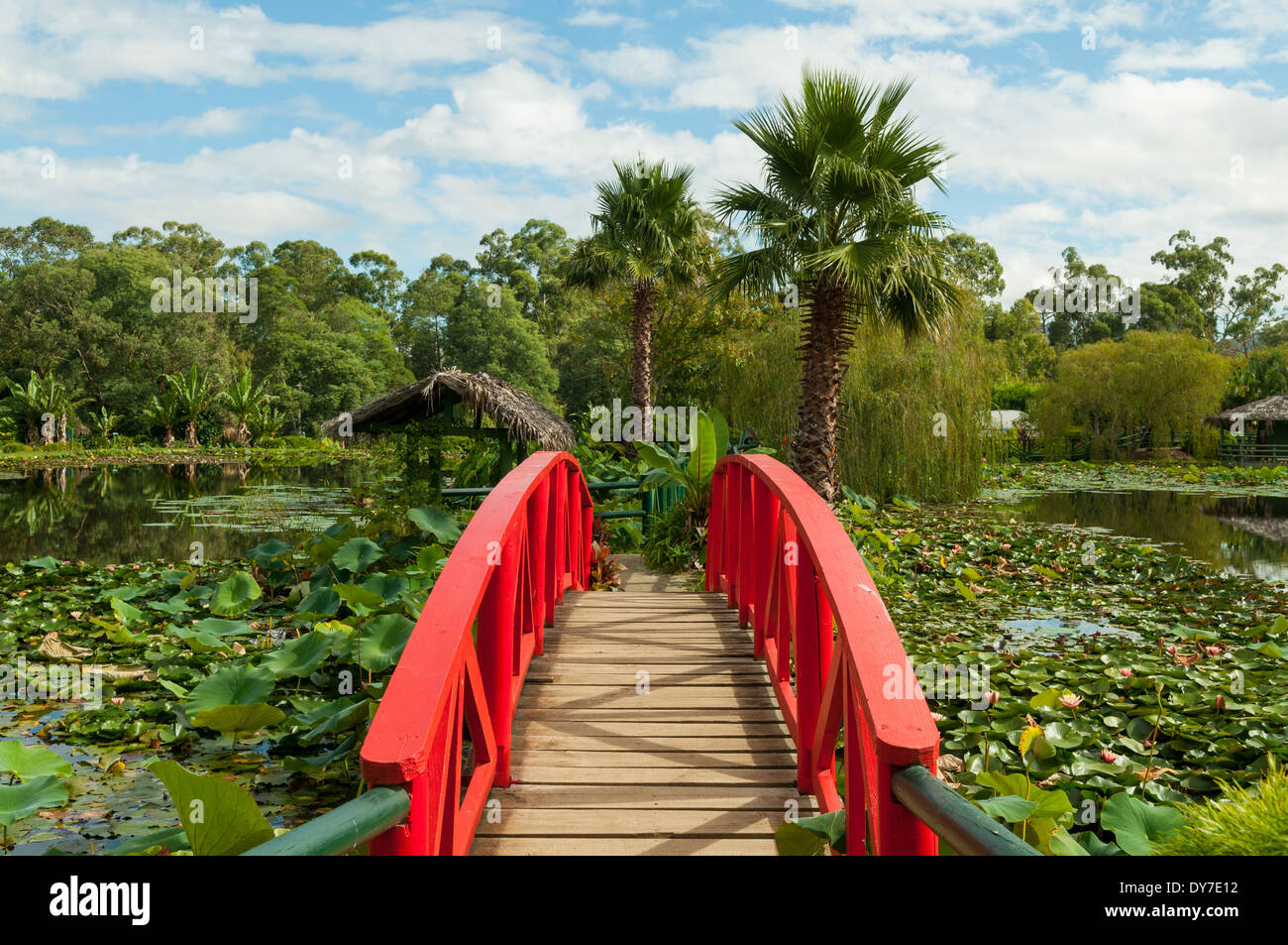 Ponte sul lago principale, Blue Lotus giardini d'acqua, Yarra Junction, Victoria, Australia Foto Stock