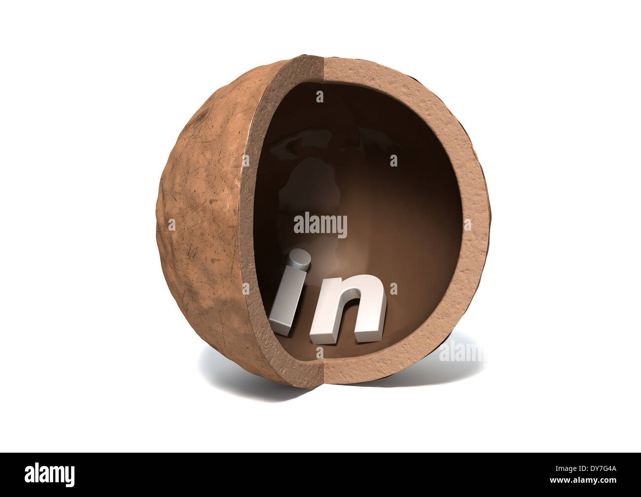 Una scavata noce macadamia guscio con un quarto segmento tagliato e la parola in all'interno isolato su un fondo bianco Foto Stock