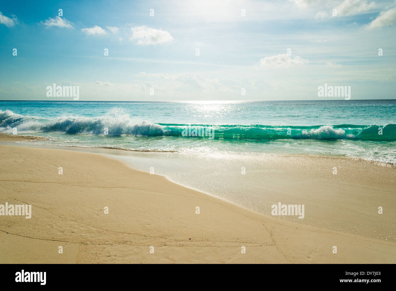 Spiaggia tropicale con acqua turchese Foto Stock