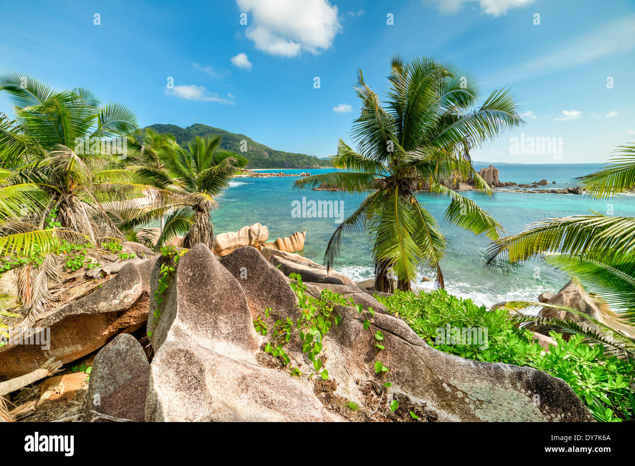 Spiaggia tropicale con palme e mare turchese Foto Stock