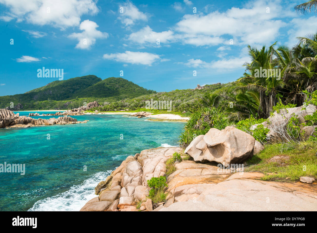 Spiaggia tropicale con palme e mare turchese Foto Stock