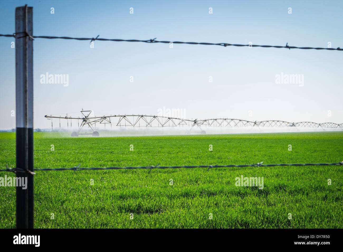 Stati Uniti d'America, Texas, campo agricolo irrigazione mobile sistema di tubazione Foto Stock