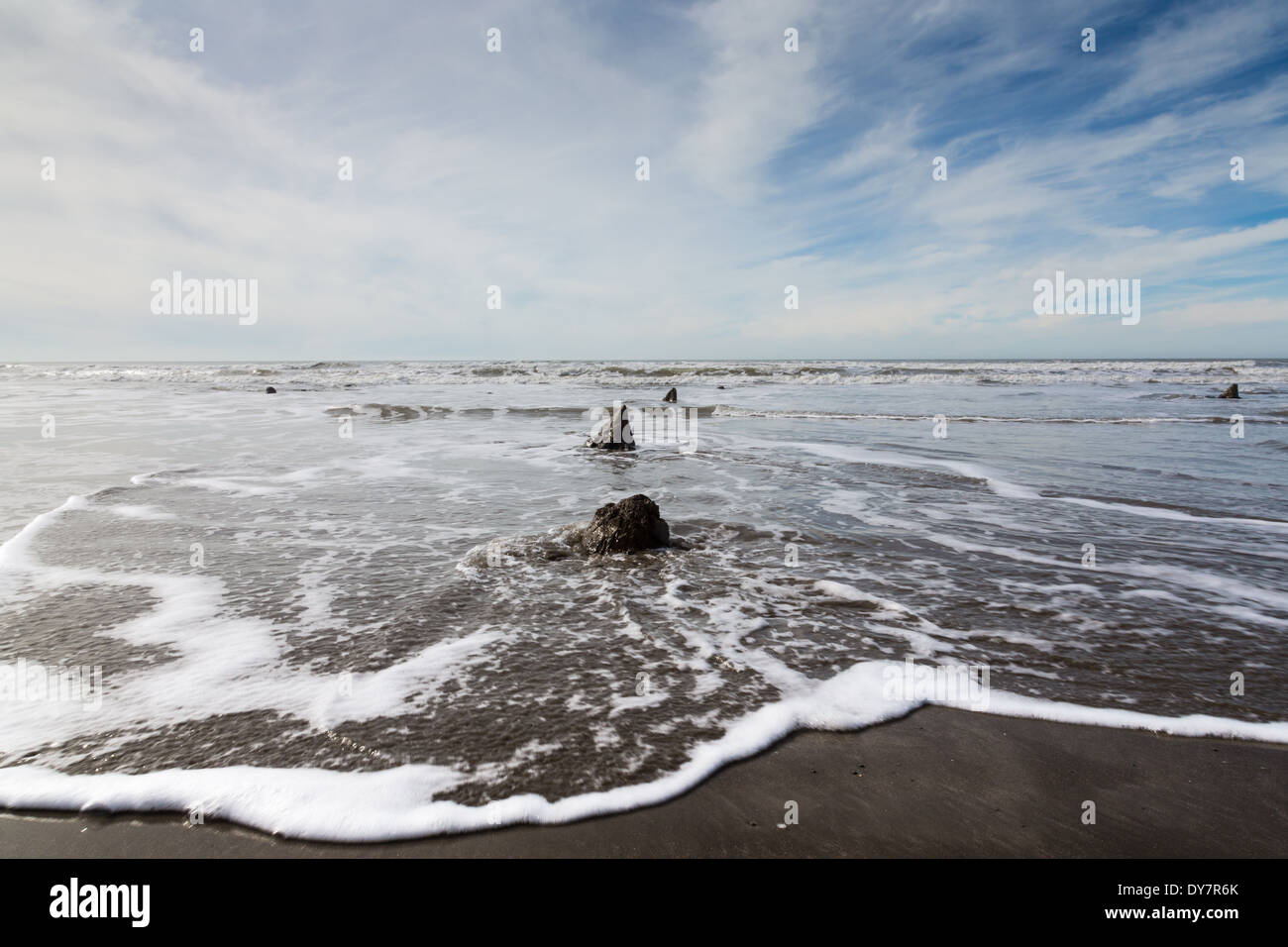 Sunken Bronzo antico bosco al Borth Beach, il Galles Centrale Foto Stock