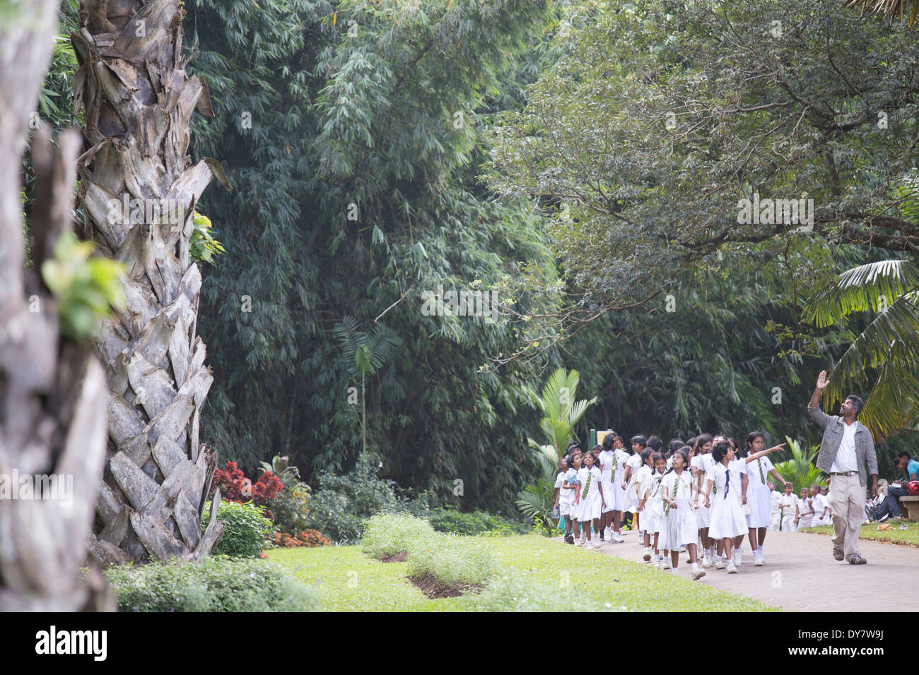 Gita al Royal Botanical Gardens, Peradeniya, Kandy, Sri Lanka Foto Stock