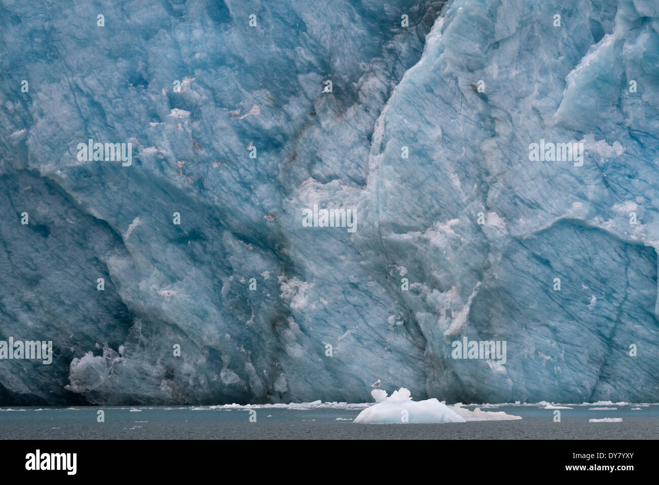 Ghiaccio in corrispondenza del bordo del ghiacciaio, Wagonway ghiacciaio, Magdalenefjorden, Spitsbergen, isole Svalbard Isole Svalbard e Jan Mayen, Norvegia Foto Stock