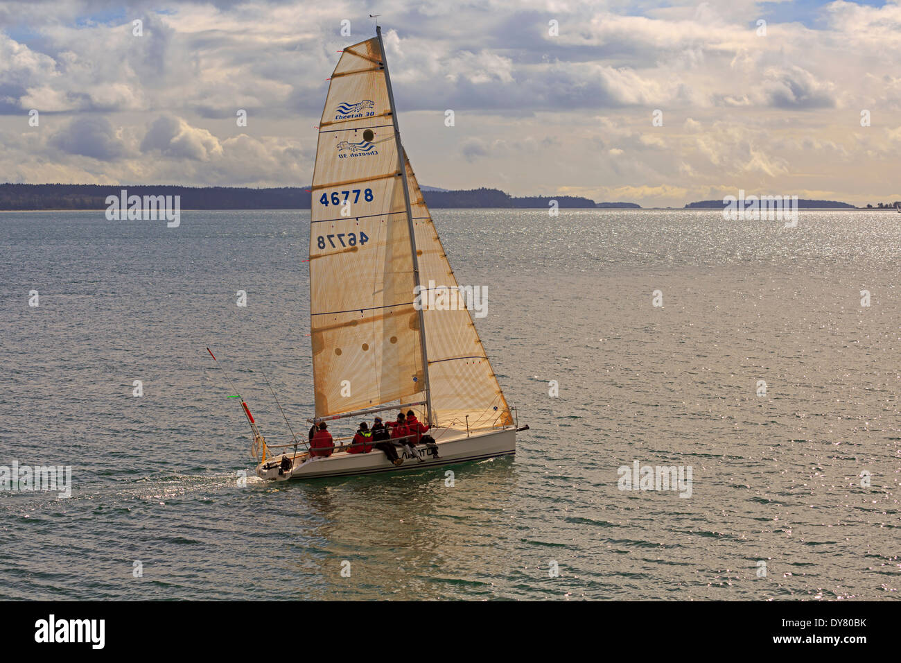Yacht a vela torna a casa dopo aver vinto una gara vicino a Sidney, Isola di Vancouver, Canada Foto Stock