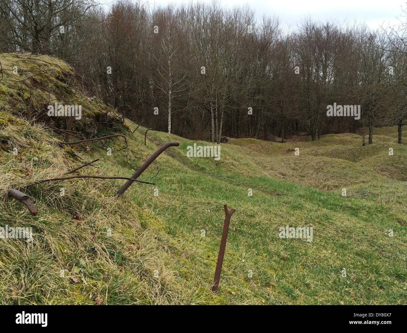 Verdun, Francia. Xx Febbraio 2014. Una vista di ricoperta di crateri sulla ex guerra mondiale I campi di battaglia di Verdun vicino a Verdun, Francia, 20 febbraio 2014. Il tipico delle increspature che segnano il paesaggio circostante, sono il risultato di innumerevoli esplosioni di granades e miniere utilizzata sul campo di battaglia durante la guerra mondiale I. Foto: Gerd Roth/dpa/Alamy Live News Foto Stock