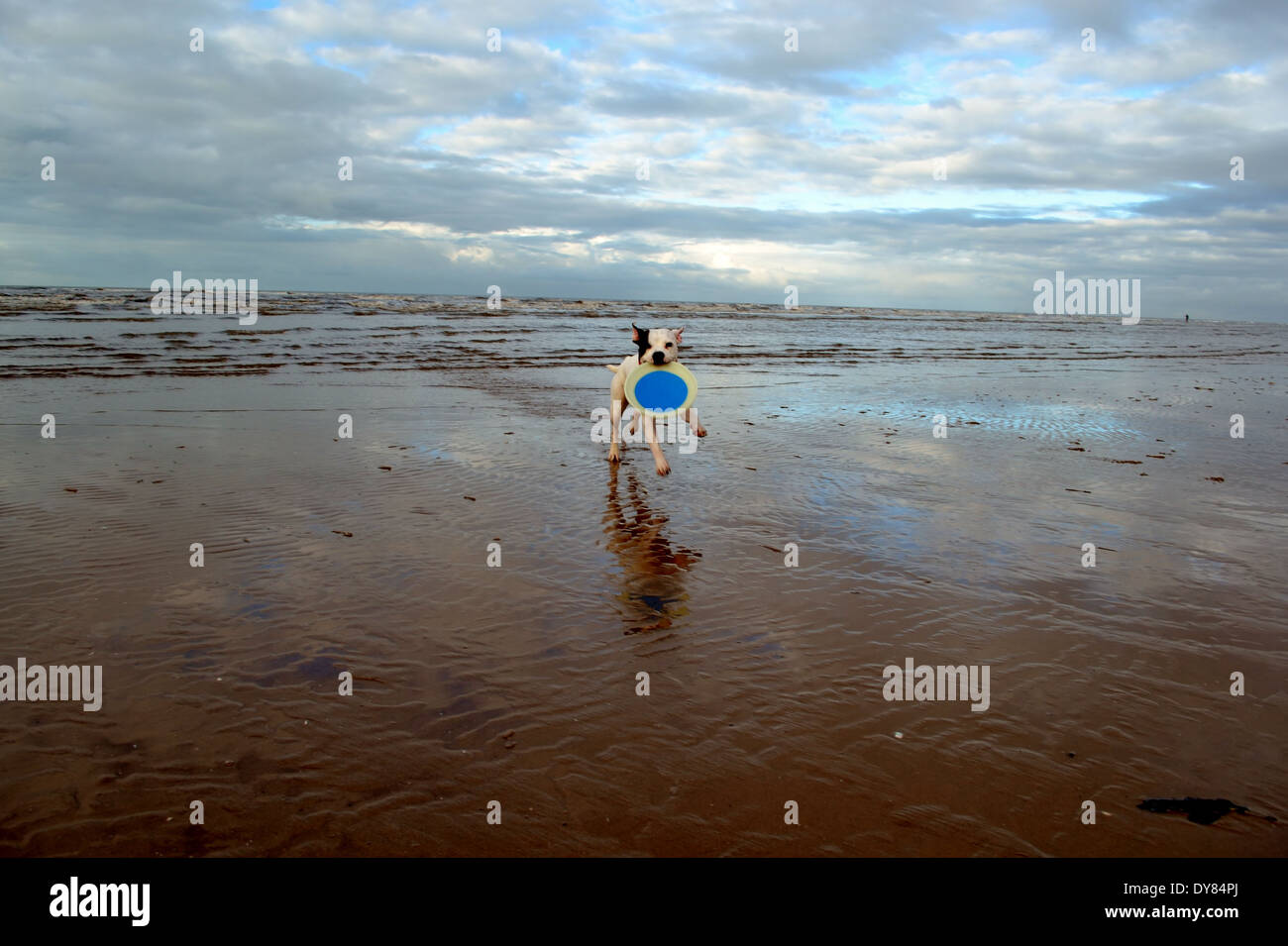 Nelle dune a Ainsdale beach Foto Stock