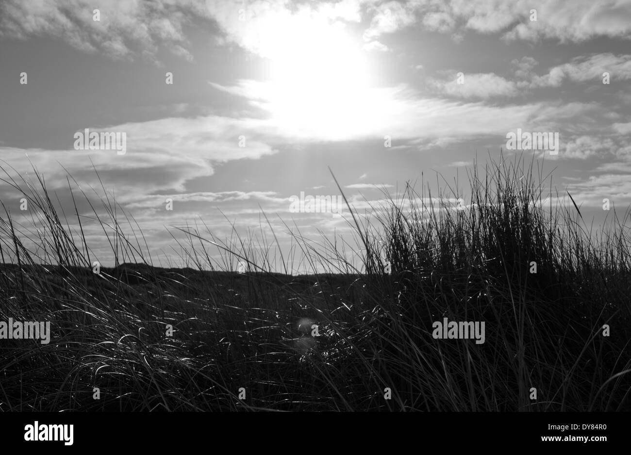 Nelle dune a Ainsdale beach Foto Stock