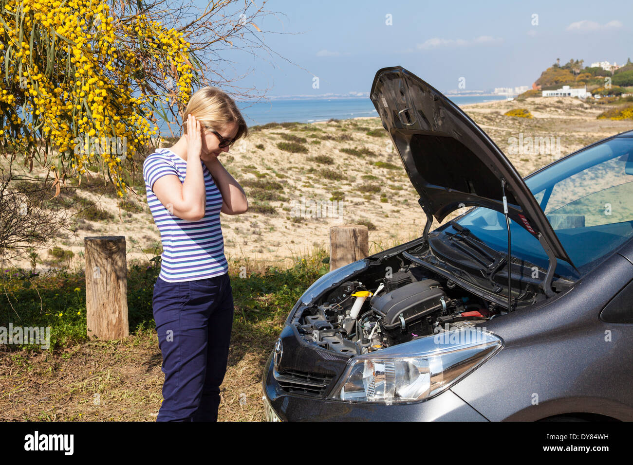 Holiday car ripartizione Foto Stock