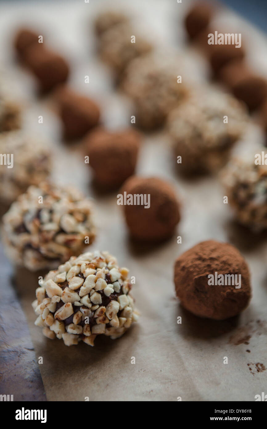 Fatta in Casa tartufi di cioccolato in righe sulla carta da forno, alcuni rivestito in polvere di cacao, alcuni in frutta secca tritata. Foto Stock