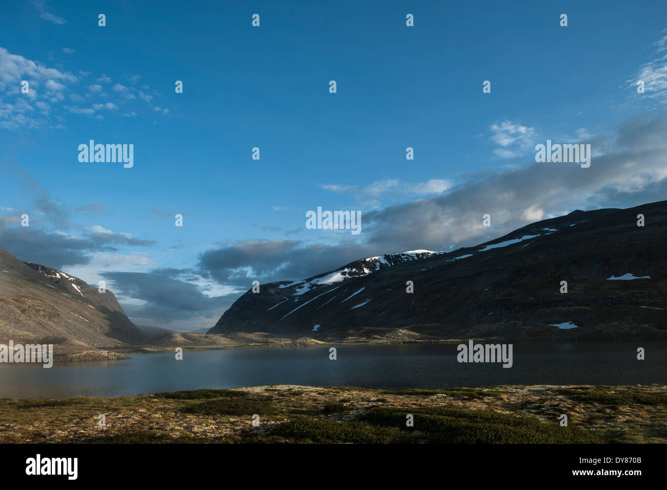 Rondane National Park, Norvegia Foto Stock