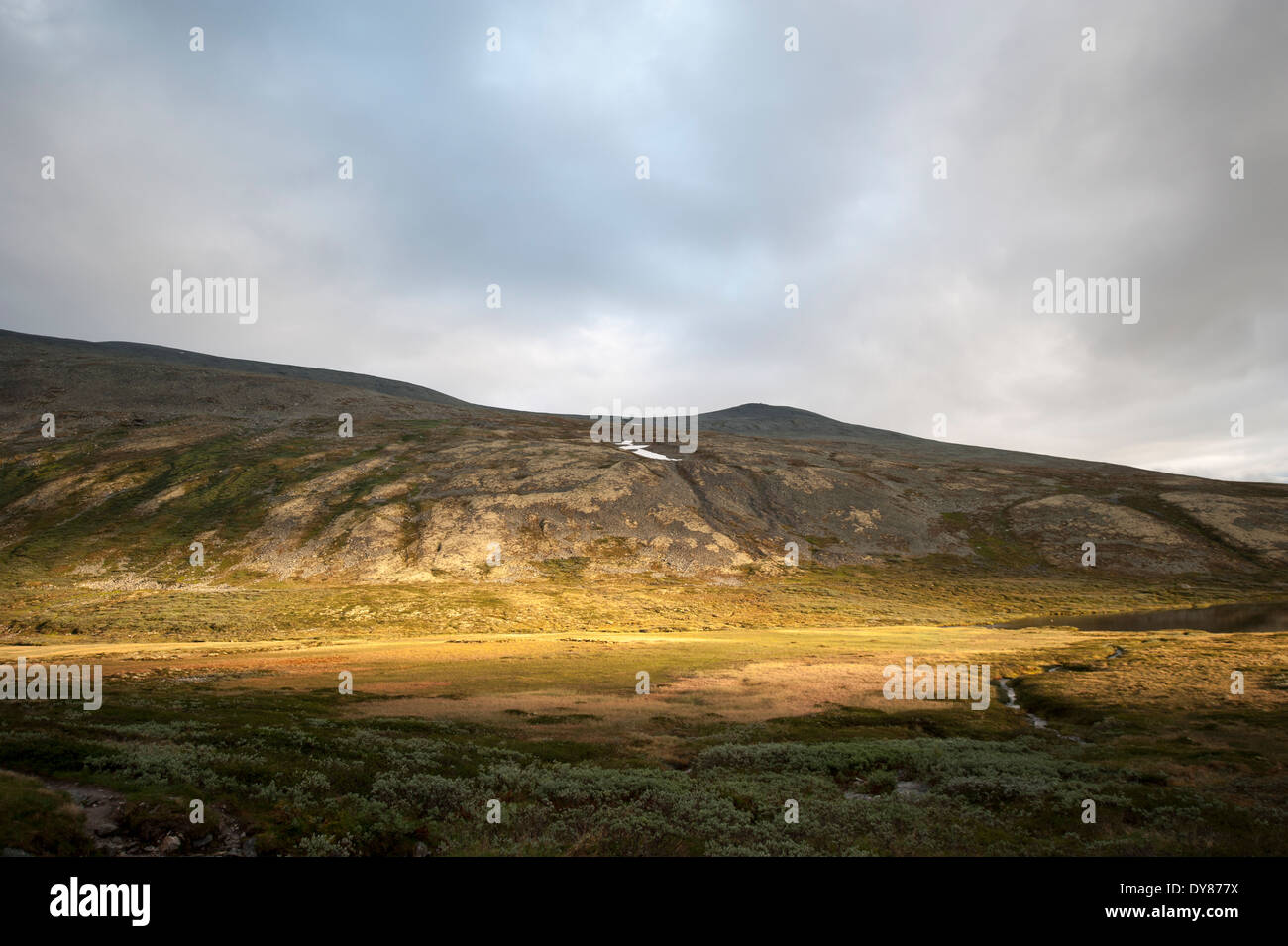 Rondane National Park, Norvegia Foto Stock