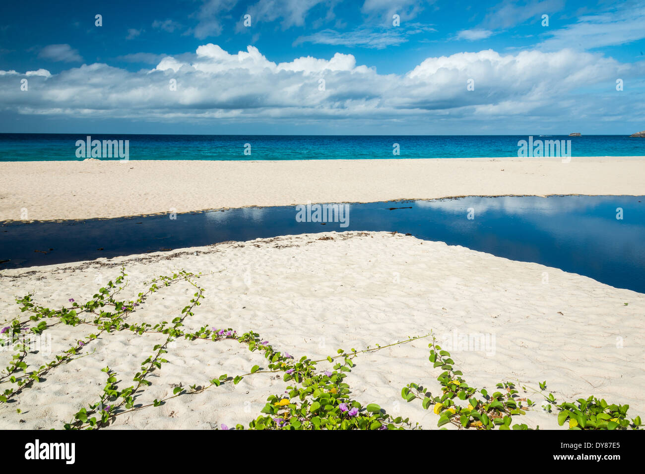 Spiaggia tropicale con acqua turchese Foto Stock