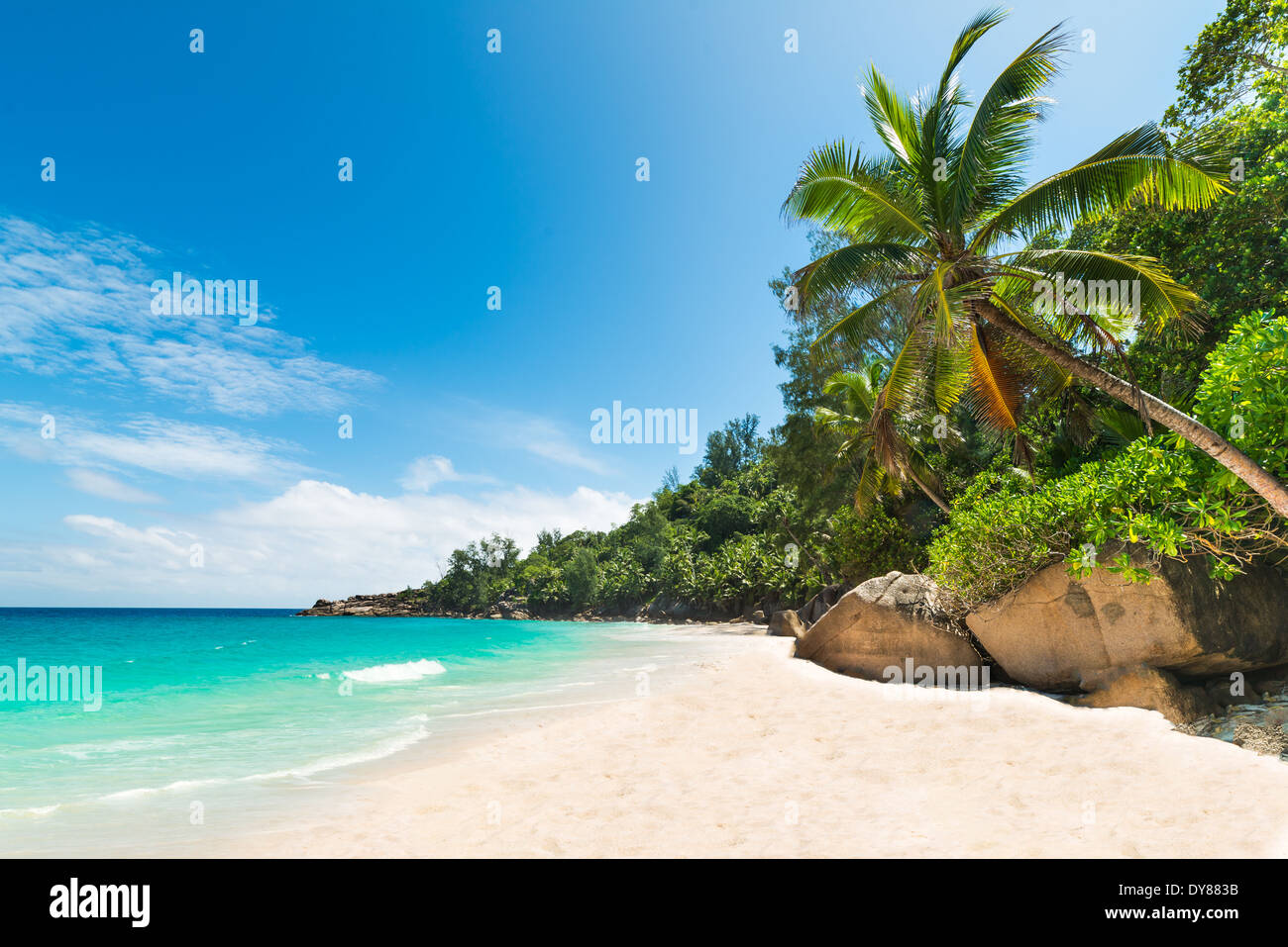 Spiaggia tropicale con palme e mare turchese Foto Stock