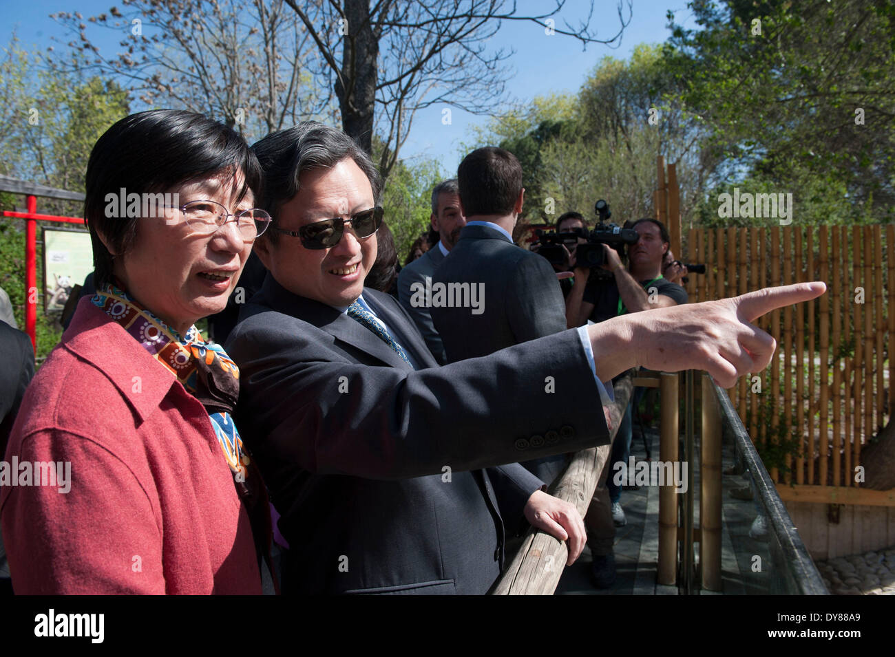 Madrid, Spagna. 9 Apr 2014. Della Cina di ambasciatore di Spagna Zhu Bangzao (2nd, L) orologi panda gigante 'Xing Bao' presso lo zoo di Madrid il 9 aprile 2014. "Xing Bao" è stato il quarto panda nato nel giardino zoologico. Credito: Xie Haining/Xinhua/Alamy Live News Foto Stock