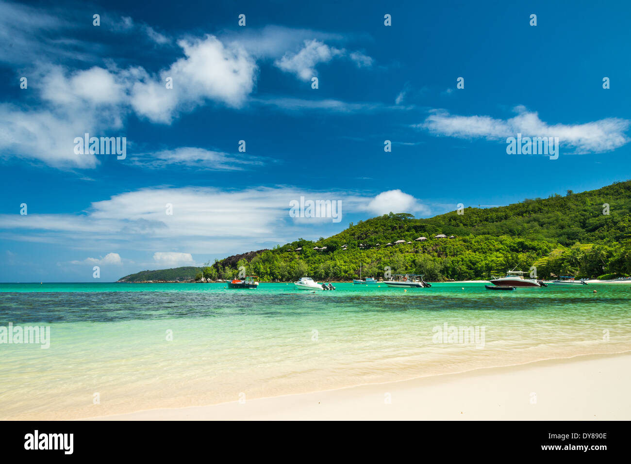 Spiaggia tropicale con acqua turchese Foto Stock