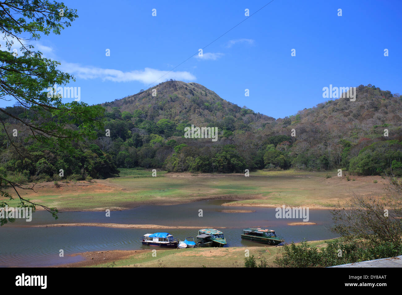 Bellissimo lago del Periyar - Kerala (India) Foto Stock