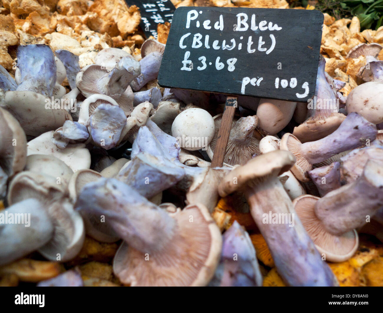 Pied Bleu (Blewitt) funghi e prezzo di etichetta sul display nel mercato di Borough, London Bridge, London, Regno Unito KATHY DEWITT Foto Stock