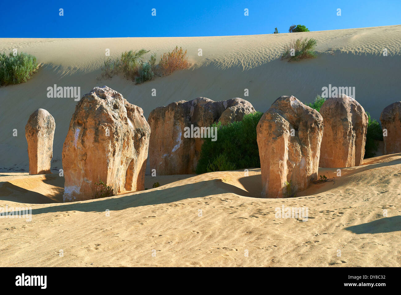 Australia, Nambung, parco nazionale, pinnacoli, Cliff, rock, cliff formazione, sabbia, Australia occidentale Foto Stock
