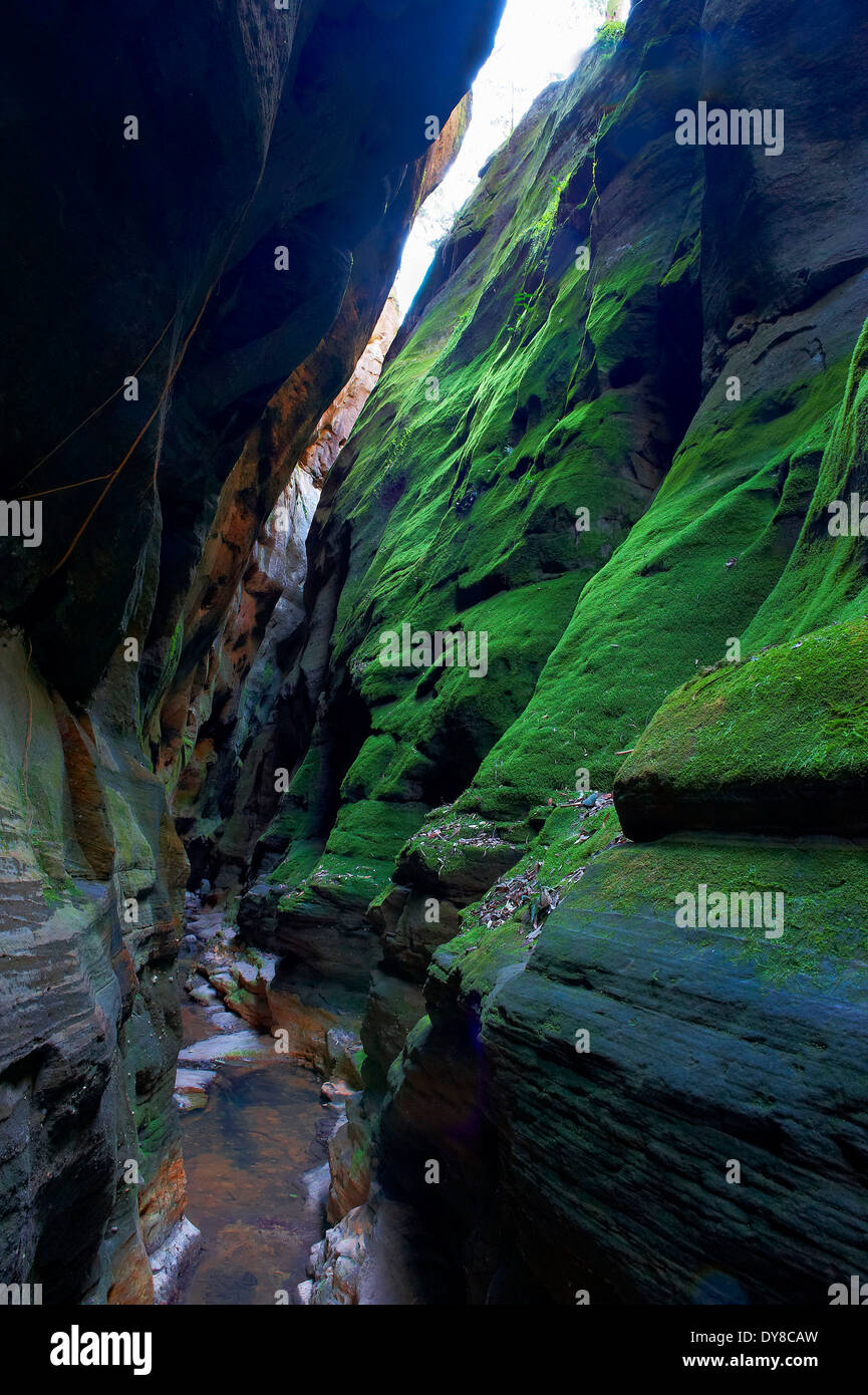 Australia, Carnarvon, parco nazionale, Cliff, rock, Gorge, Queensland, gulch Foto Stock