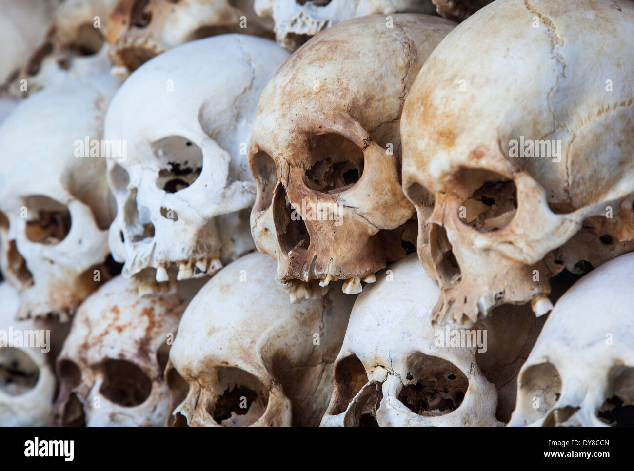 Teschi visualizzato all'interno di campi di morte ( Choeung Ek ) Memoriale in Phnom Penh Cambogia Foto Stock