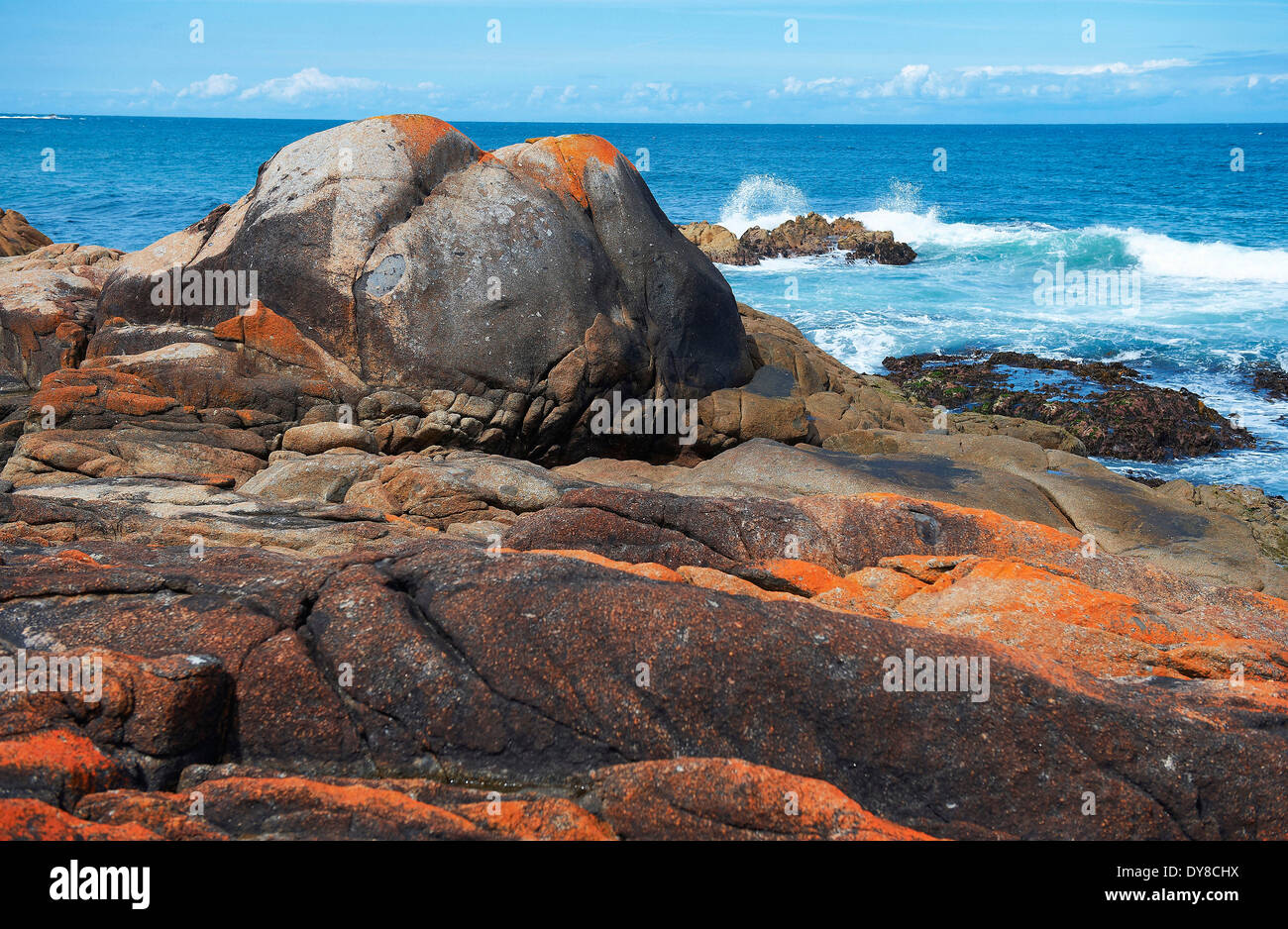 Australia, Cliff, rock, Kangaroo Island, mare, pietre, Victoria, onde, Ingresso Wingan, pietre, coast Foto Stock