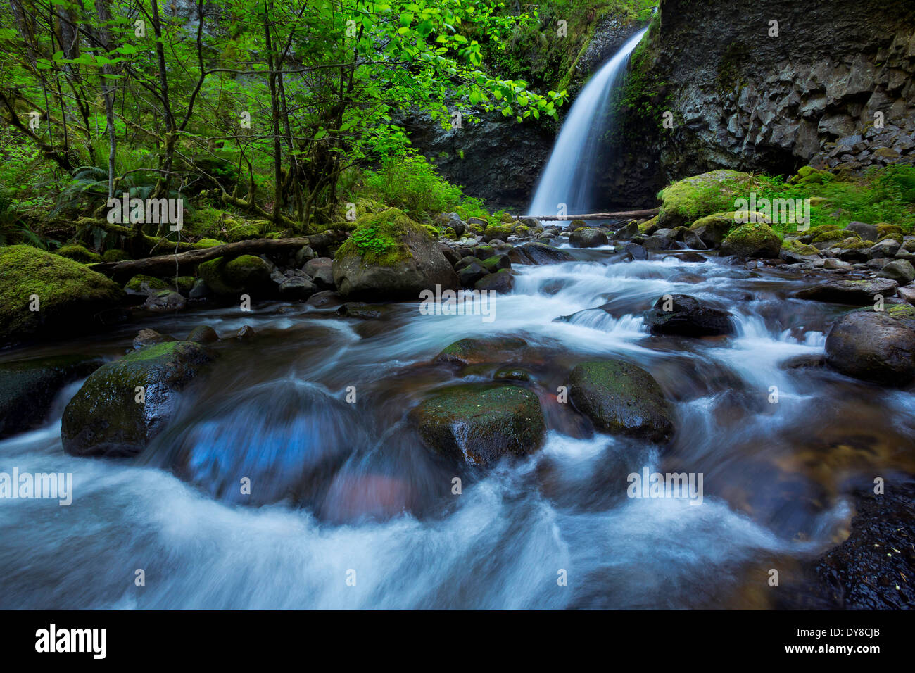 Oneonta superiore cade nella primavera del Columbia River Gorge, Oregon. Stati Uniti d'America Foto Stock