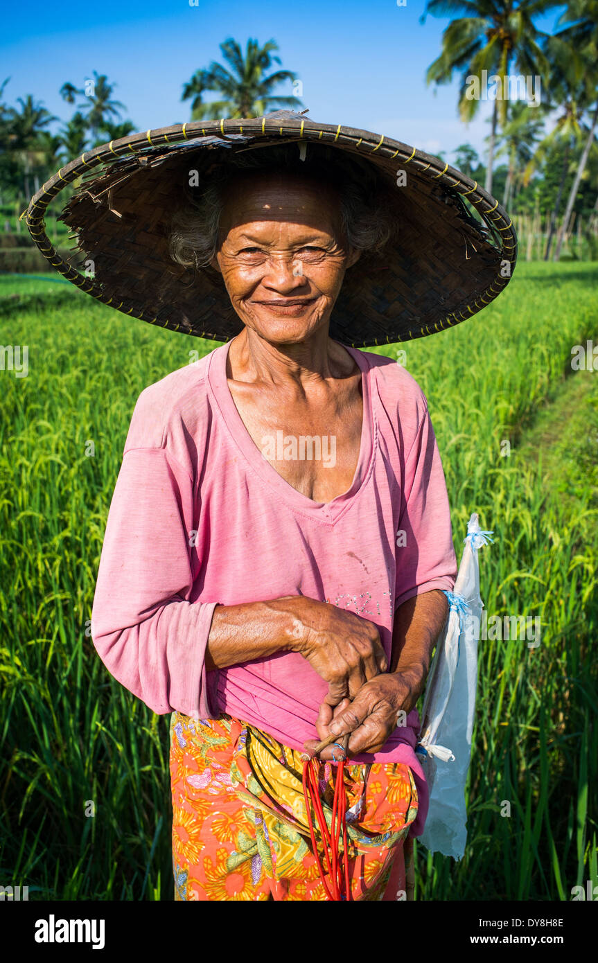 Una vecchia donna indonesiana lavora nei campi di riso di Senaru, Mt. Rinjani, Lombok, Indonesia. Foto Stock