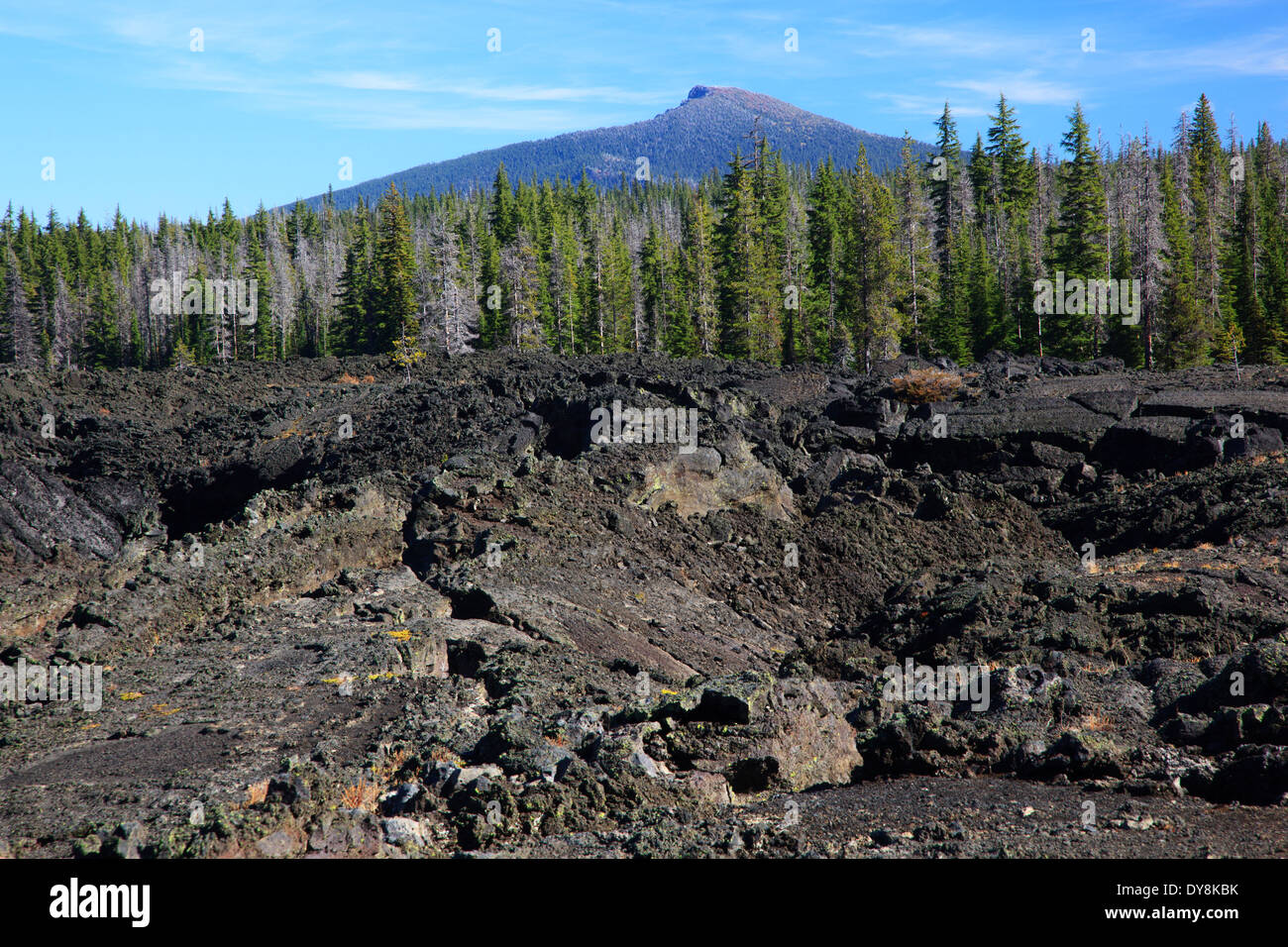 Stati Uniti d'America, Oregon, Willamette National Forest, McKenzie Pass, Belknap cratere Foto Stock