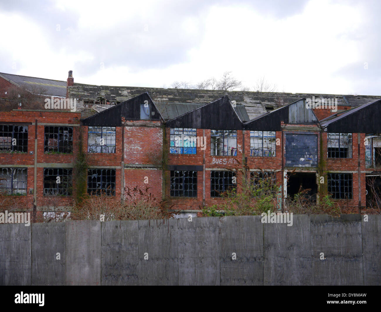 Abbandonata fabbrica abbandonata / magazzino proprietà, North Shields, England, Regno Unito Foto Stock