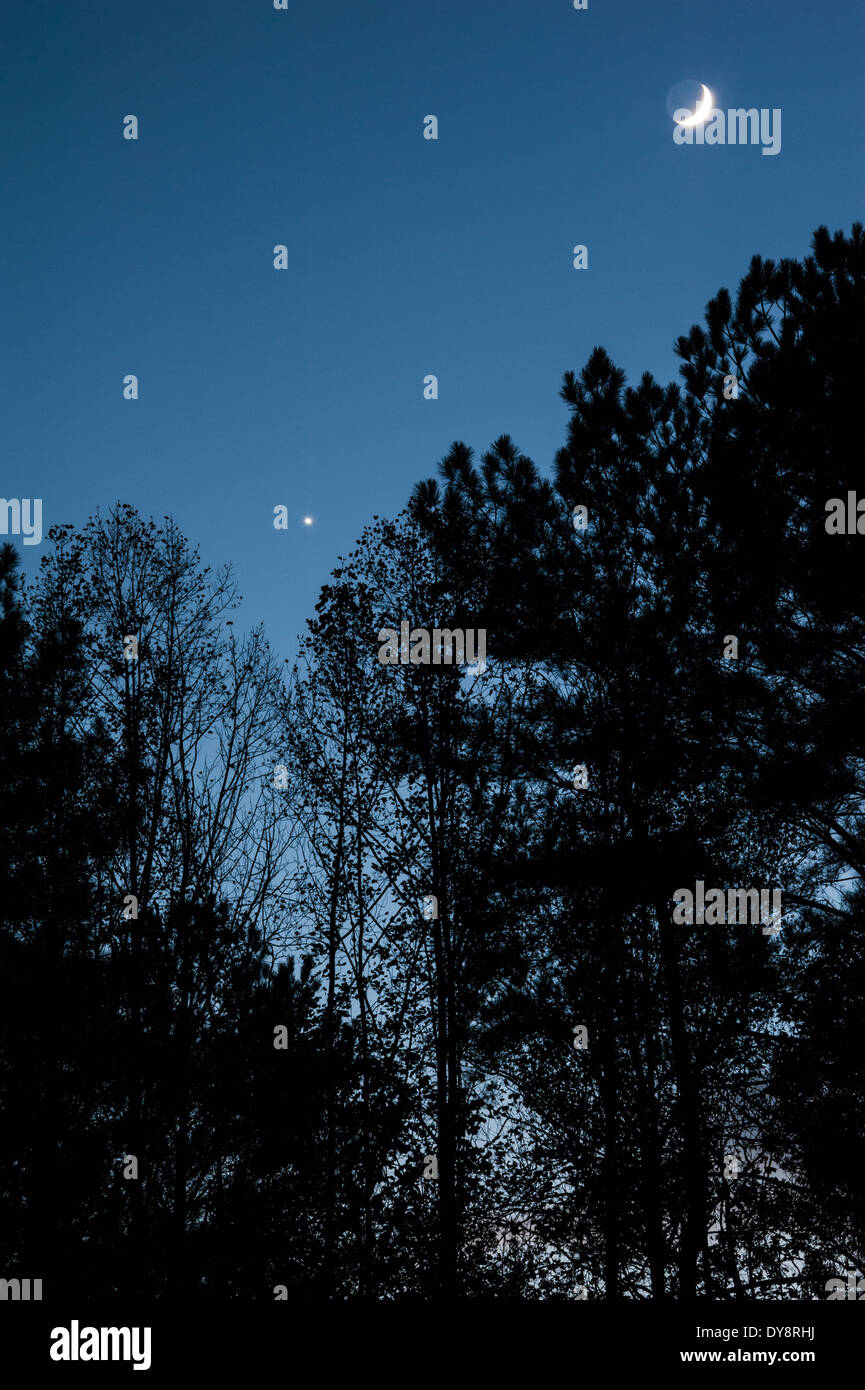 Una falce di luna e il pianeta Venere in stretta prossimità visiva come visto da Atlanta, Georgia, Stati Uniti d'America. Foto Stock