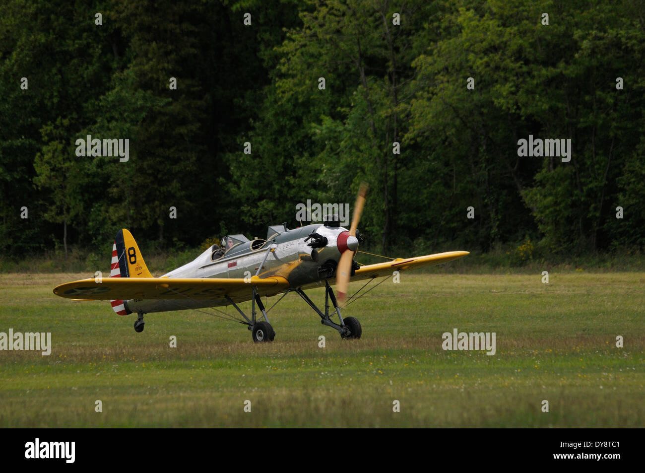 1941 Ryan Aeronautical ST3KR a l'air show di La Ferte Alais Foto Stock