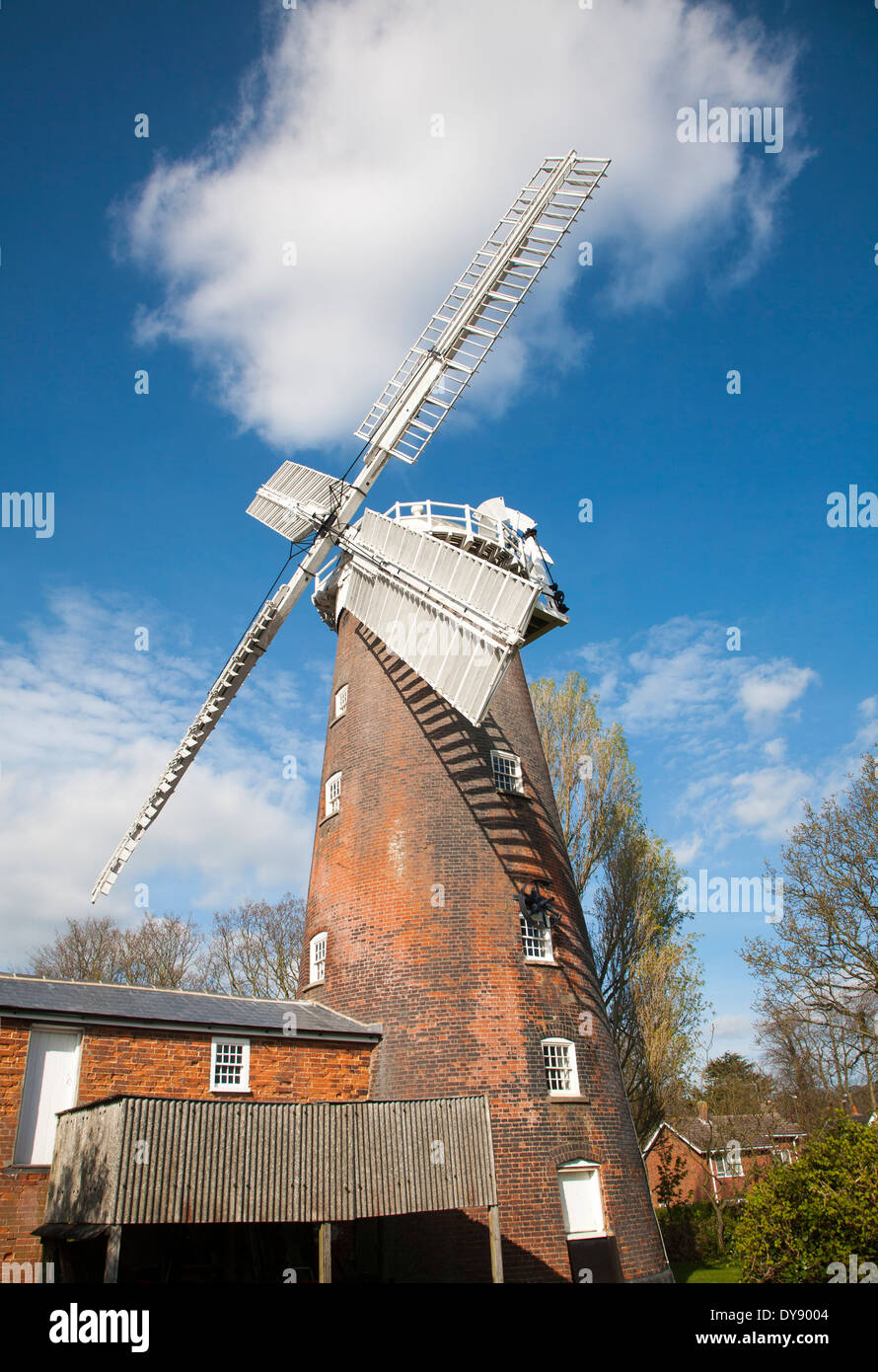 Buttrum mulino del mulino a vento costruito 1836, Woodbridge, Suffolk, Inghilterra Foto Stock