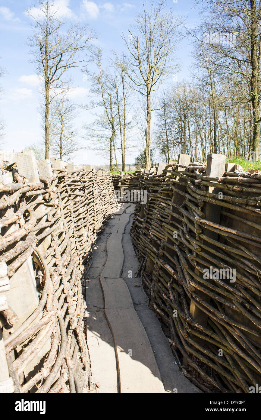 WW1 trench in Bayernwald la prima guerra mondiale il Belgio Foto Stock