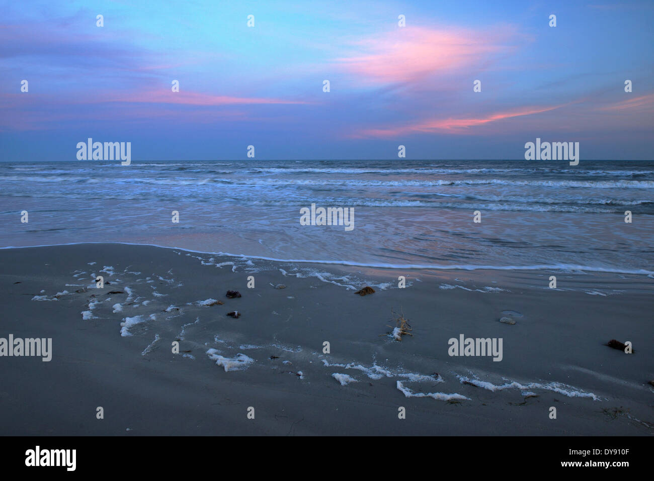 Stati Uniti d'America Stati Uniti America Texas Corpus Domini Padre Island National Seashore Park driftwood surf costiere della costa del golfo del Messico Foto Stock