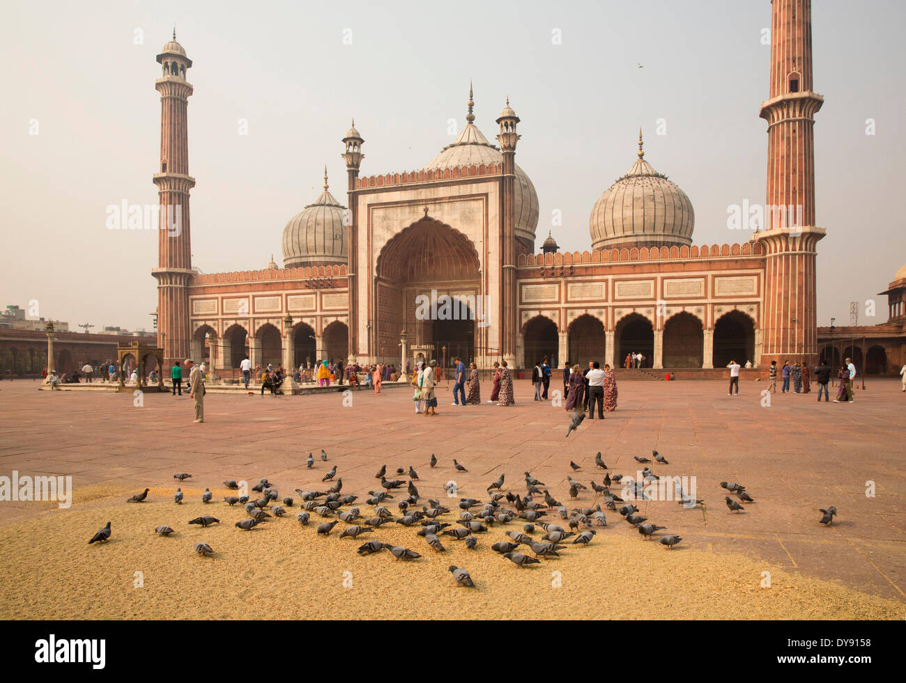 Jama Masjid, la moschea, la Vecchia Delhi, Delhi, capolavoro, Mogul L'architettura, Asia, chiesa, religione, torri, luogo, piccioni Foto Stock
