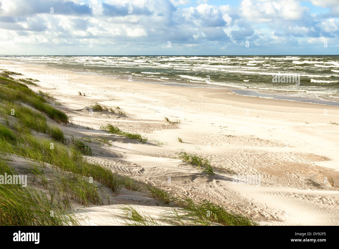 Spiaggia di sabbia bianca. Vista del Mar Baltico Costline. Curonian Spit, Nida, Neringa, Lituania Foto Stock