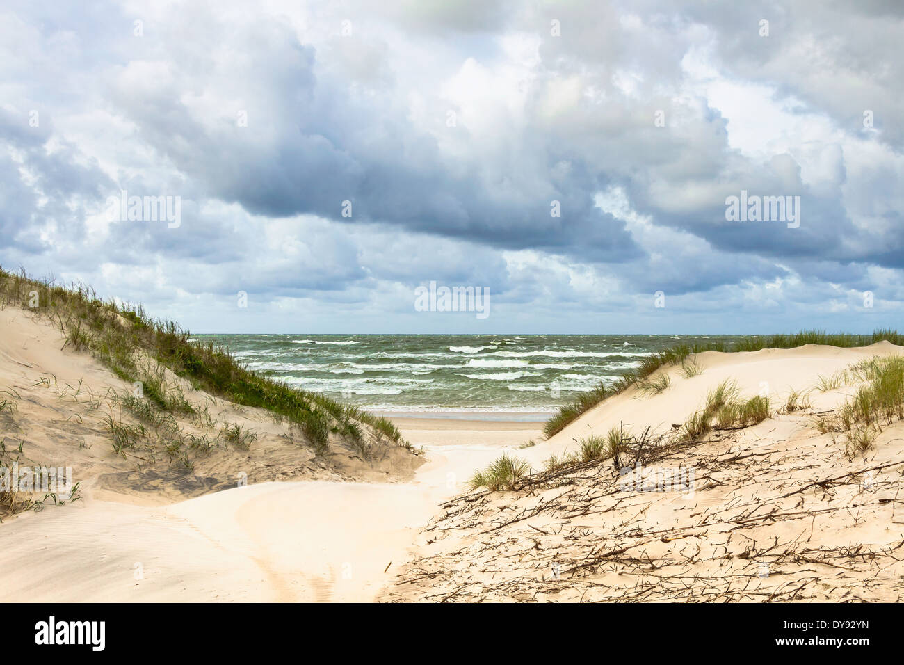 Dune di sabbia sulla costa del Mar Baltico in Nida. La lituania Foto Stock