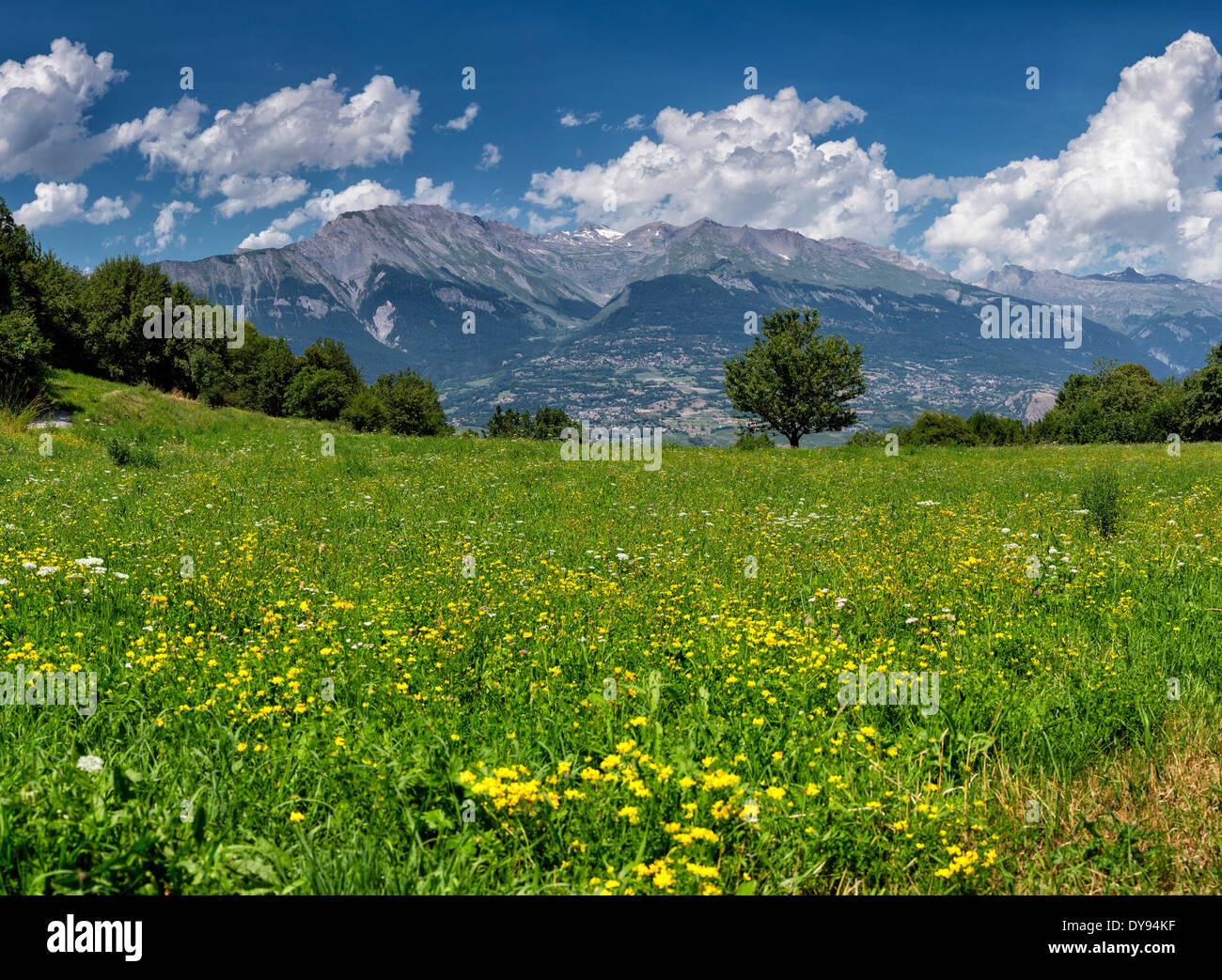 La valle del Rodano, paesaggio, campo, prato, fiori, estate, montagne, colline, Vex, Wallis, Vallese, Svizzera, Europa Foto Stock