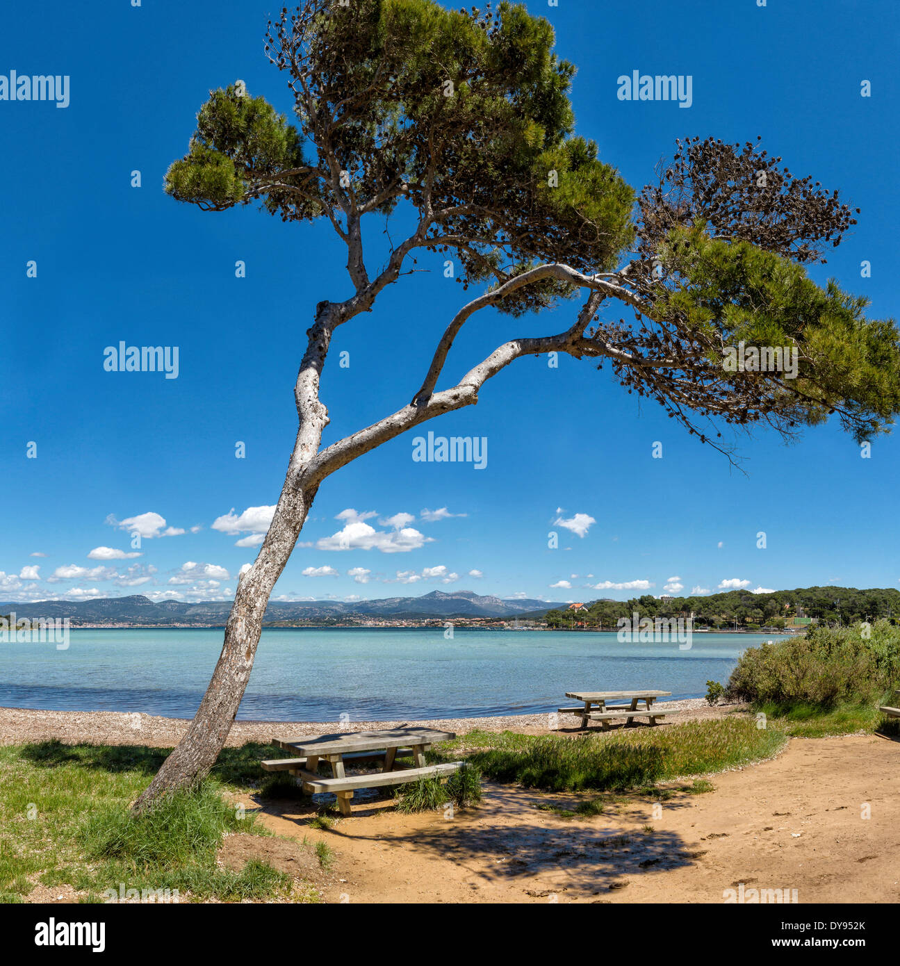 Ile du Petit Gaou, Mediterraneo, paesaggio, acqua, alberi, molla, spiaggia, mare, Six Fours Les Plages, Var, Francia, Europa Foto Stock