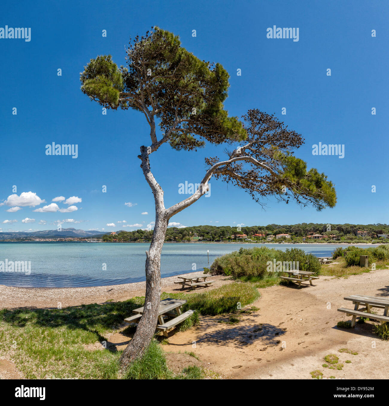 Ile du Petit Gaou, Mediterraneo, paesaggio, acqua, alberi, molla, spiaggia, mare, Six Fours Les Plages, Var, Francia, Europa Foto Stock