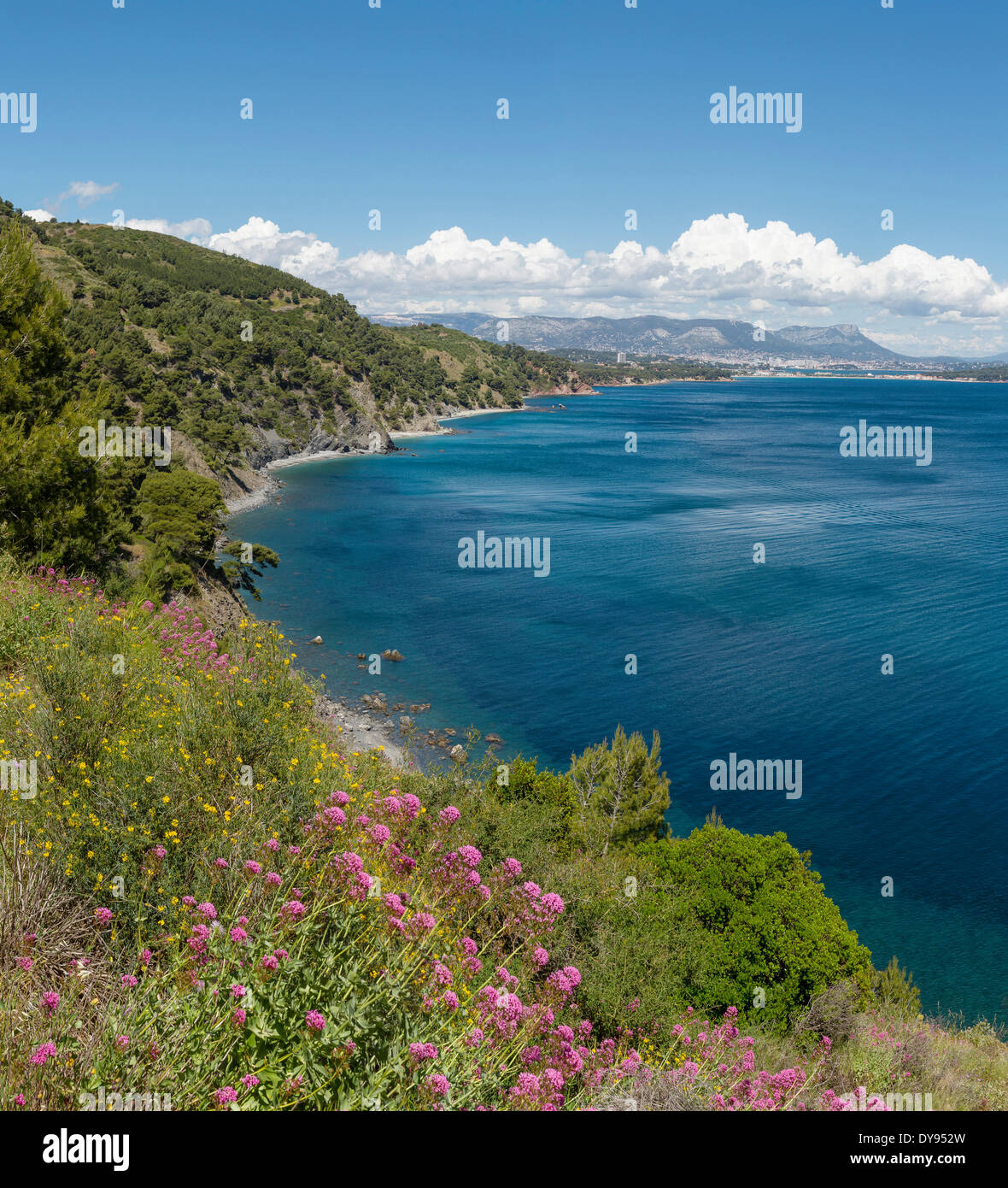 Sentiero Chemin du Joncquet paesaggio mediterraneo alberi acqua primavera Montagne mare La Seyne Sur Mer Var Francia Europa, Foto Stock