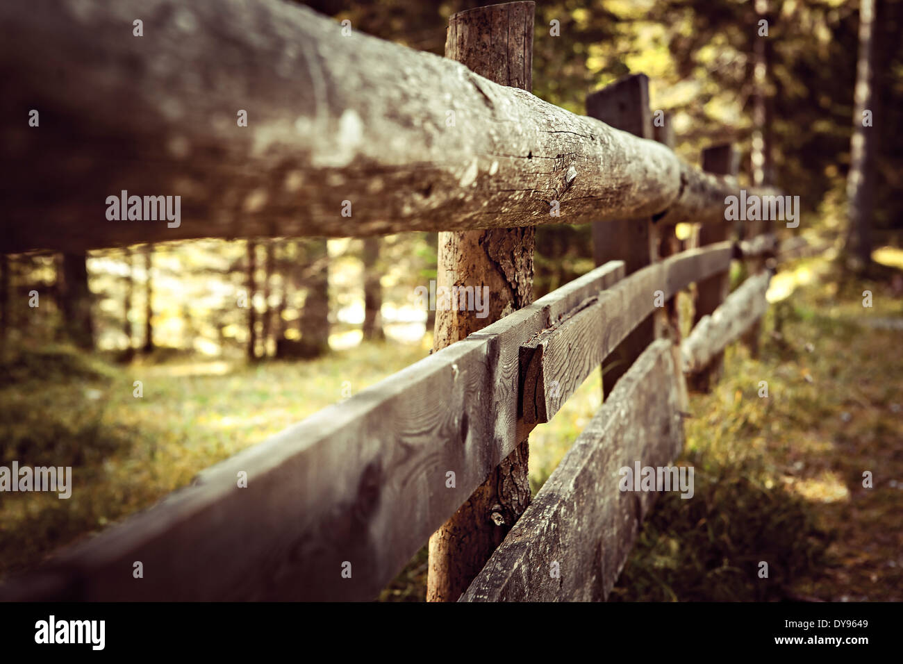 L'Italia, Alpi Dolomitiche, vecchio recinto vicino Lago di Dobiacco Foto Stock
