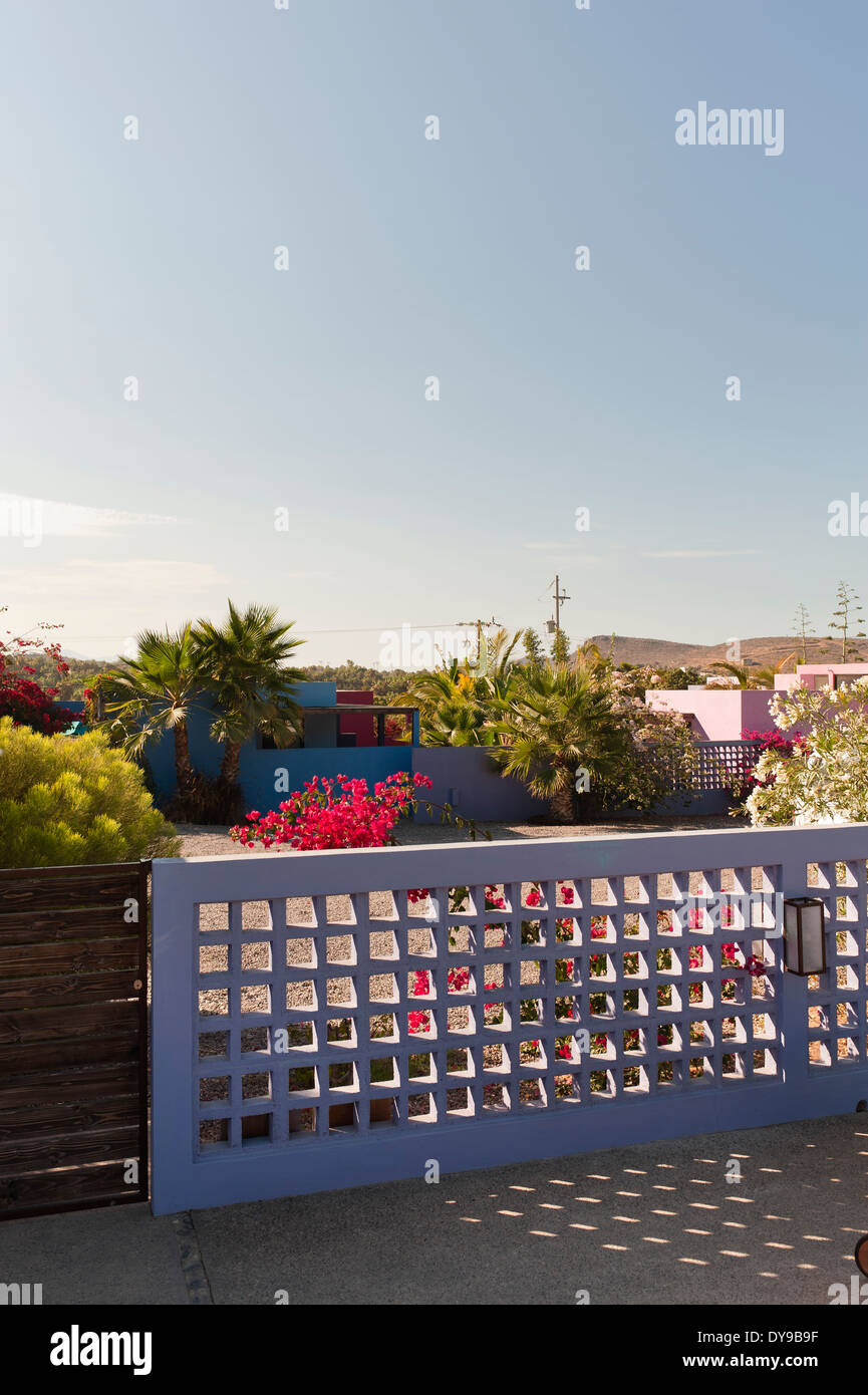 Calcestruzzo parete trellis nel cortile del hotel messicano con palme e piante bourgainvillea Foto Stock