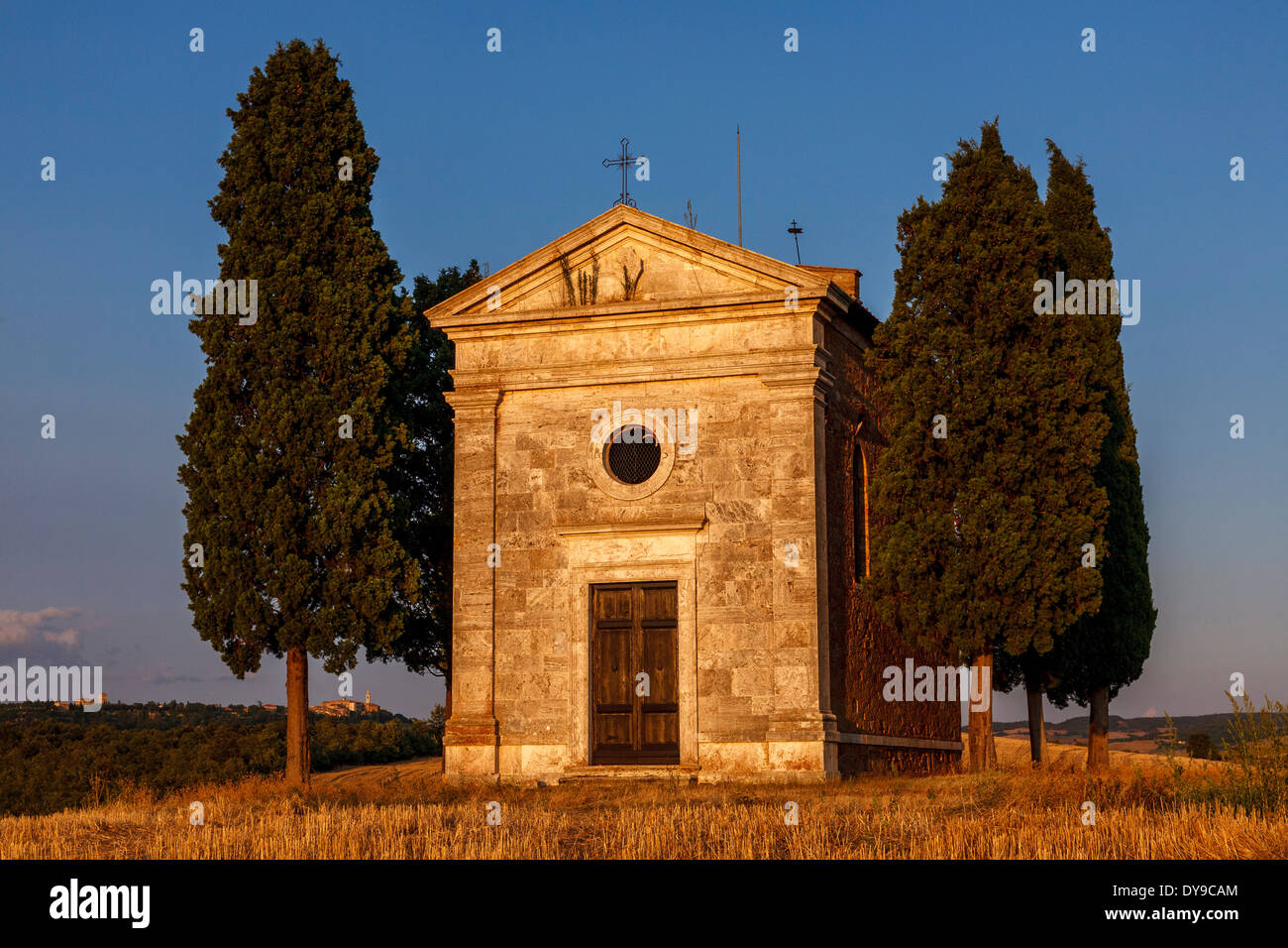 Classico paesaggio toscano, vicino a Pienza, Toscana, Italia Foto Stock