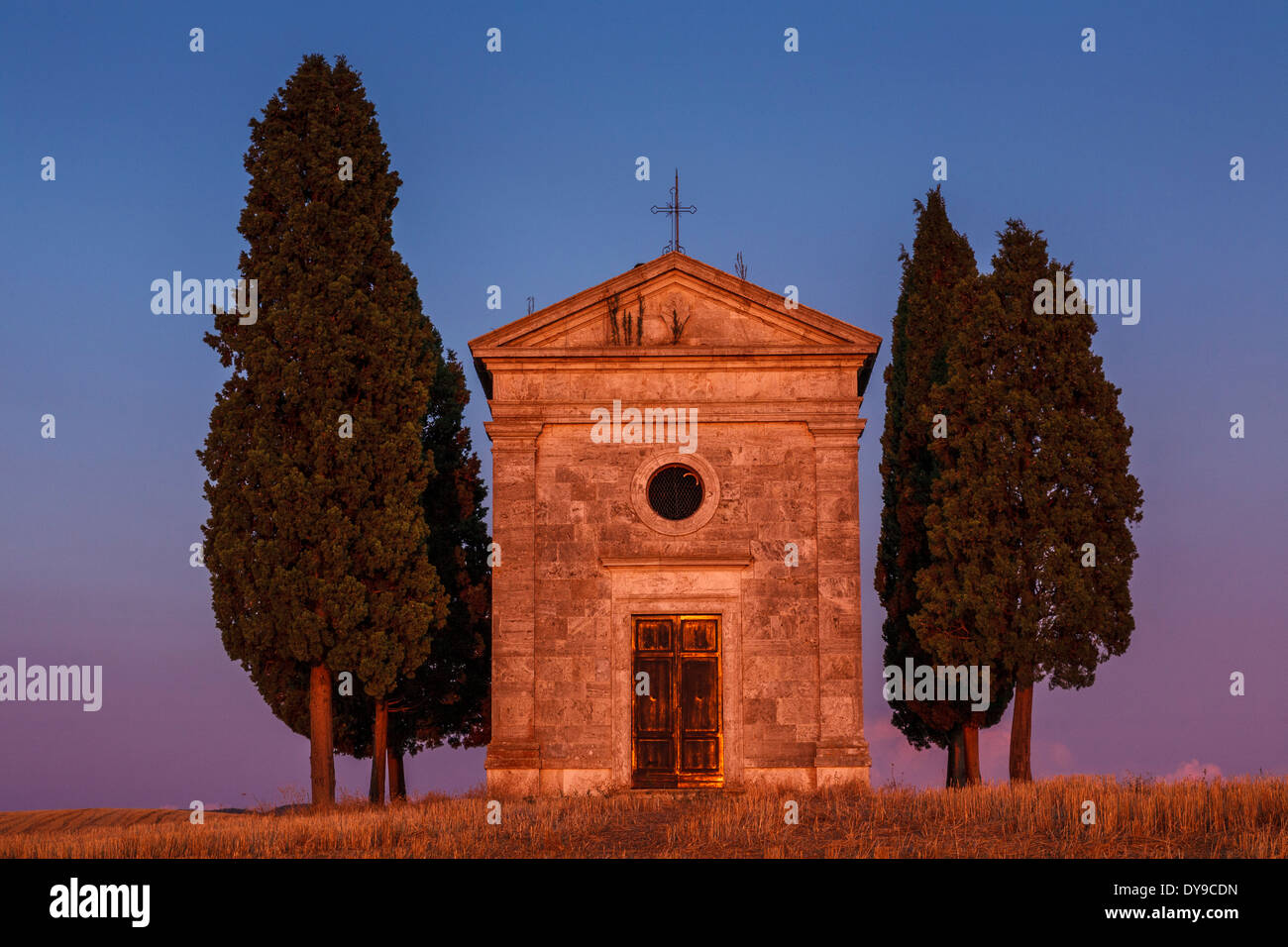 Classico paesaggio toscano, vicino a Pienza, Toscana, Italia Foto Stock